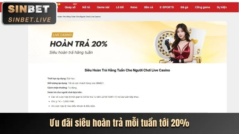 Giao diện cá cược thể thao trực tuyến trên GNBET với các biểu đồ và số liệu